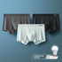 MIIOW 3Pcs Ice Silk Man Underwear Boxer Metal Fiber Antistatic Men Underpants Seamless Cut Hem Men's Panties Boxers Shorts Trunk