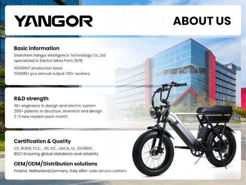 YANGOR 250W Electric Bike, 28" Ultra-Light Frame, Long Range, city & Road Bicycle, Suitable for Both Men and Women E-bike CE EU