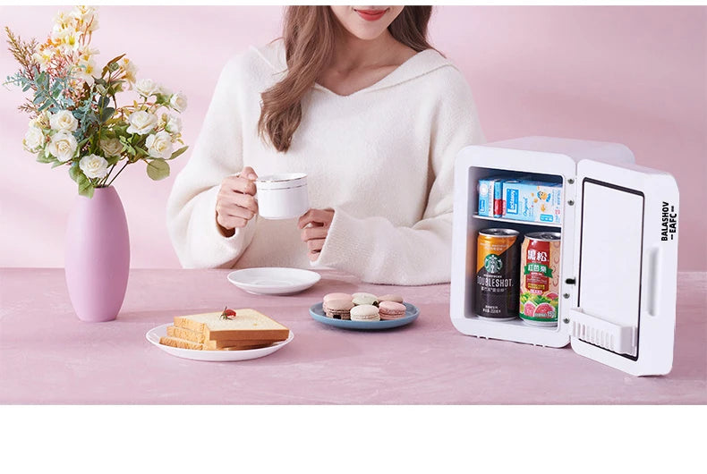 Mirror Car Refrigerator Home Small Fridge Mask For Makeup Cosmetics Home Refrigerator Cooling With LED Light Refrigerator For Makeup 4L/6L EU