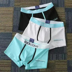 3Pcs Male Panties Cotton Men's Underwear Boxers Breathable Man Boxer Printed Underpants Comfortable Shorts Men Underwear M-3XL