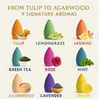 9Pack Colorful Aromatherapy Incense Sticks for Home Indoor Long Lasting Fragrance Smoke Falls for Viewing Relaxation